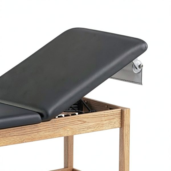 Helsevesen Medical Exam Table Bariatric Adjustable Backrest-3