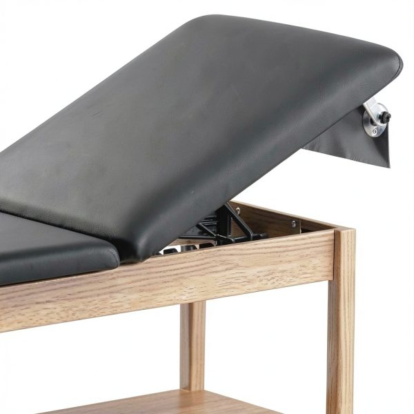 Helsevesen Medical Exam Table Bariatric Adjustable Backrest-5