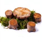 Taoxekoro Miniature Tree Stump Table Set Fairy Garden Decor-0